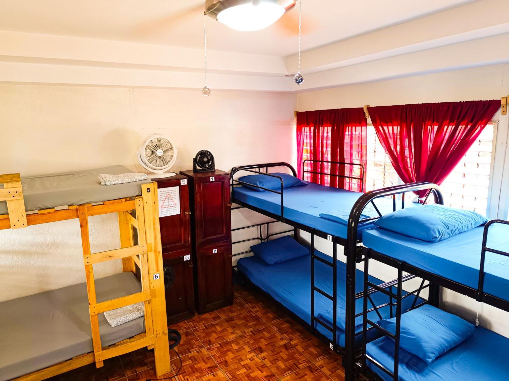Hostel El Rio Leon
