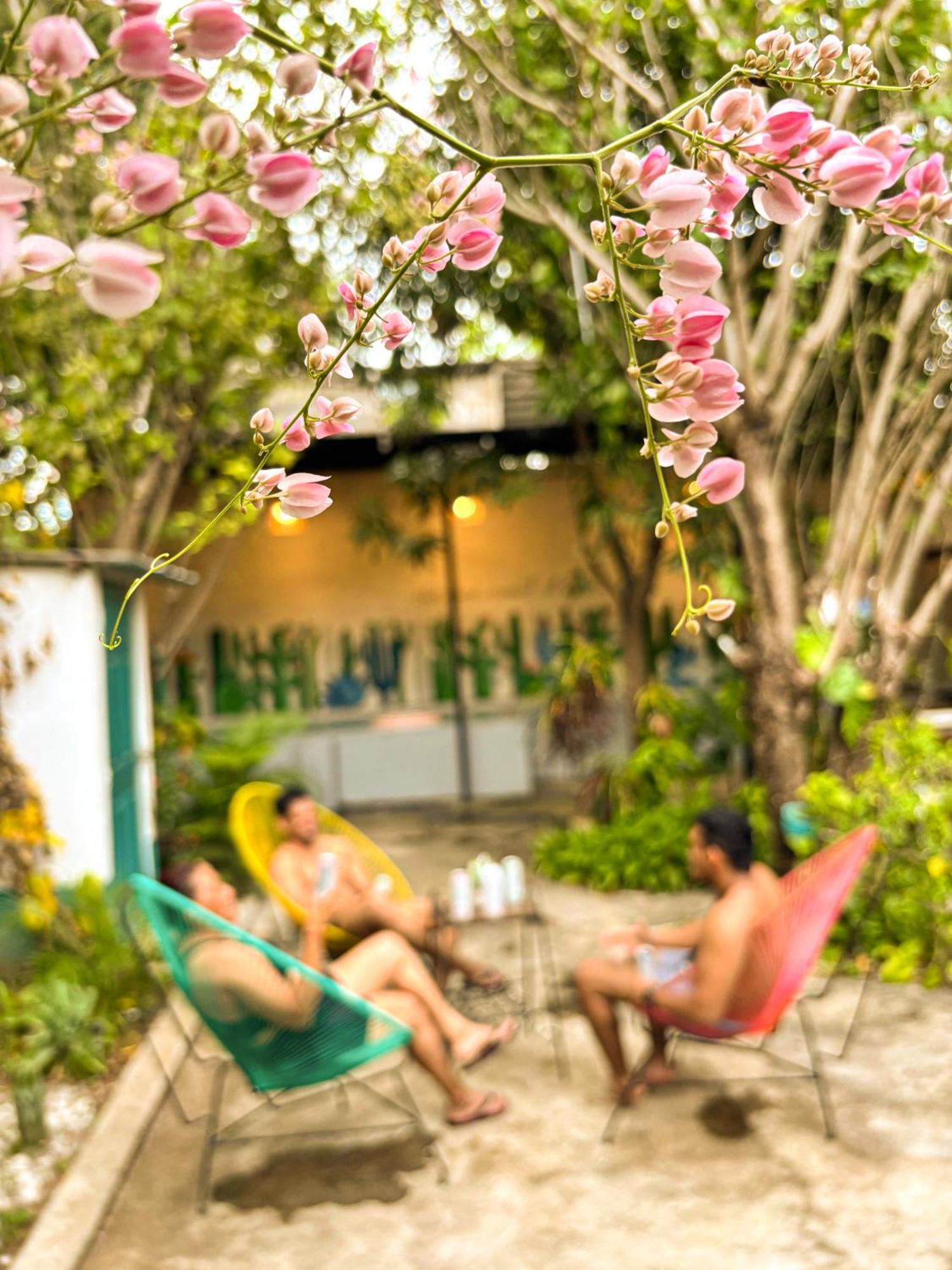 Hostel El Rio Leon